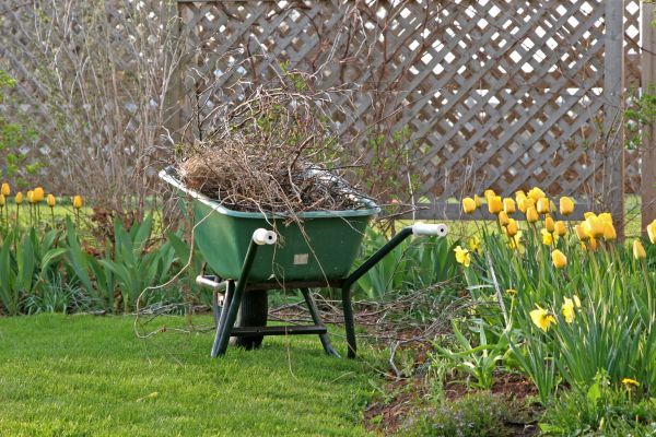 Flower Bed Cleanup Service in Saint George