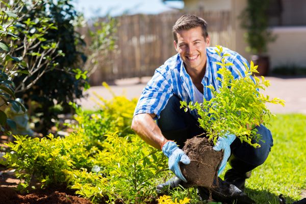 Bush Planting Service in Saint George