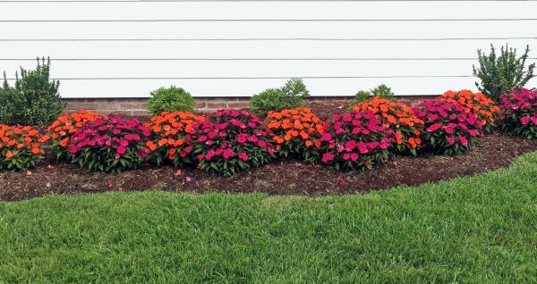 Flower Bed Weeding Service in Saint George