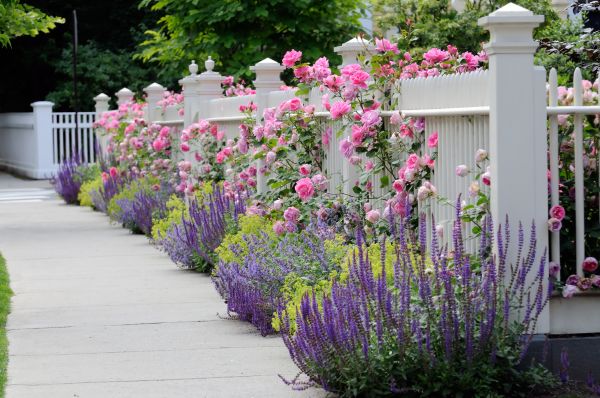 Garden Handyman Service in Saint George
