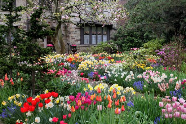 Garden Maintenance Service in Saint George