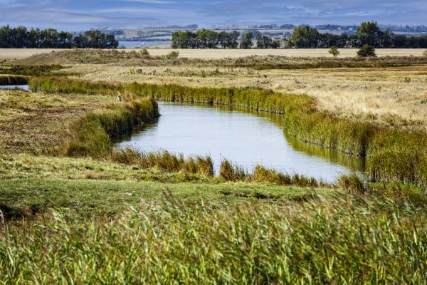 Swale Landscaping in Saint George