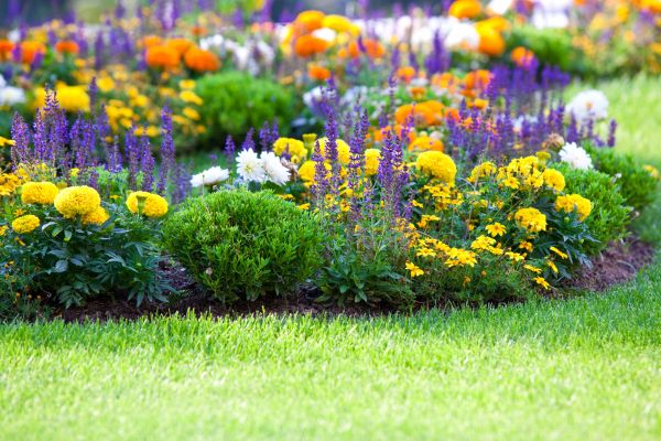 Garden Installation in Saint George