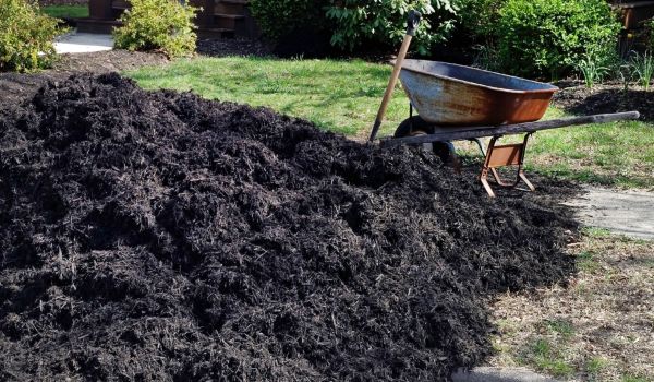 Black Mulch Delivery in Saint George