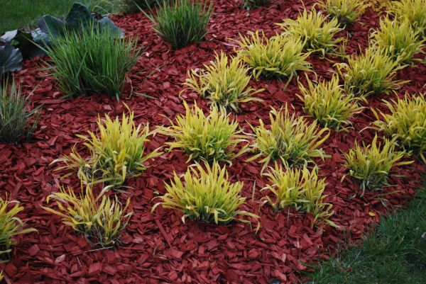 Mulch Landscaping in Saint George