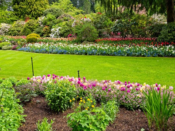 Residential Landscape Design in Saint George