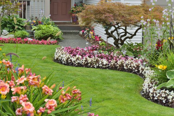 Perennial Landscaping in Saint George