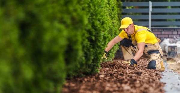 Cypress Mulch Installation in Saint George