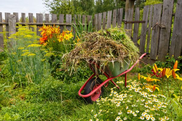 Garden Cleanup Service in Saint George