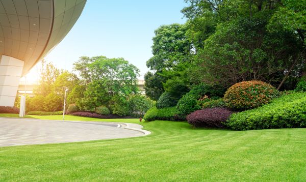 Business Landscape Design in Saint George