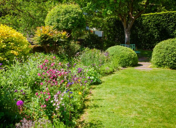 Yard Landscaping Service in Saint George