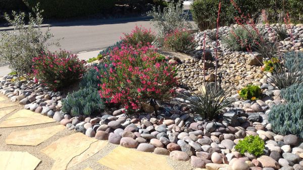 Xeriscape Landscaping in Saint George