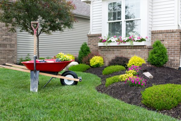 Tree And Shrub Planting in Saint George