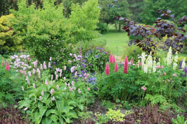 Flower Bed Planting in Saint George