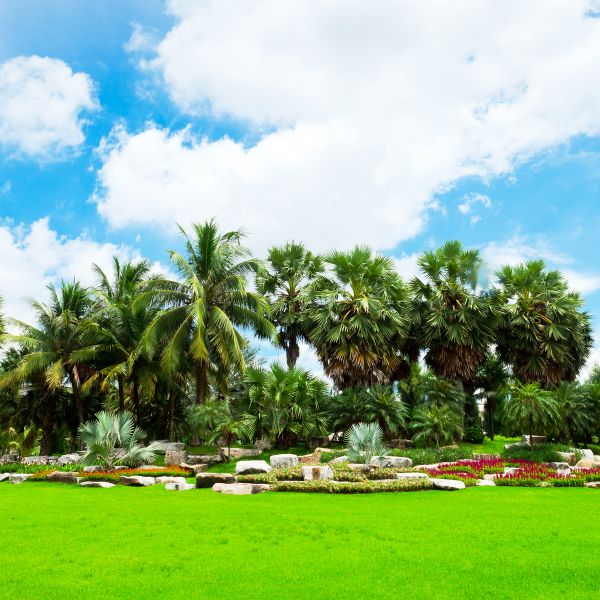 Tropical Landscaping in Saint George