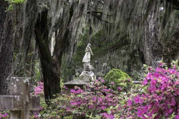 Cemetery Landscaping in Saint George