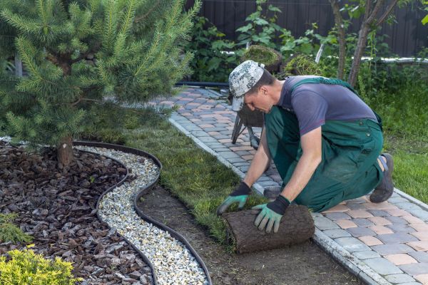 Landscaping Modification in Saint George