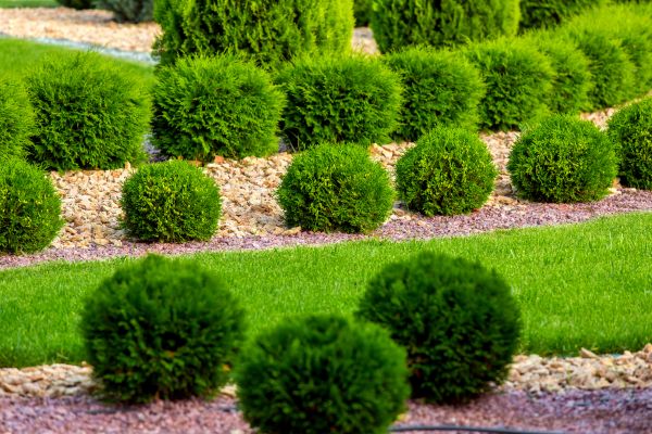 Bush Installation in Saint George