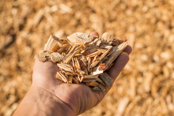 Wood Chips Spreading in Saint George