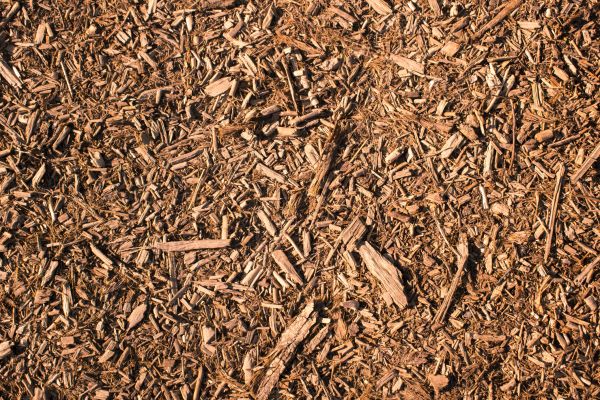Wood Chips Removal in Saint George