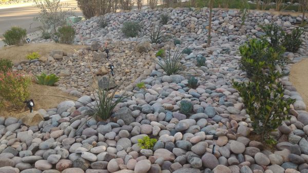 Yard Xeriscaping in Saint George
