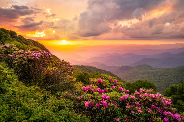 Hill Landscaping in Saint George