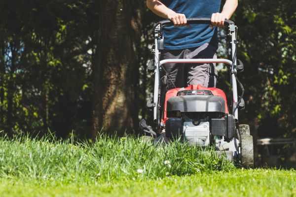 Garden Trimming Service in Saint George