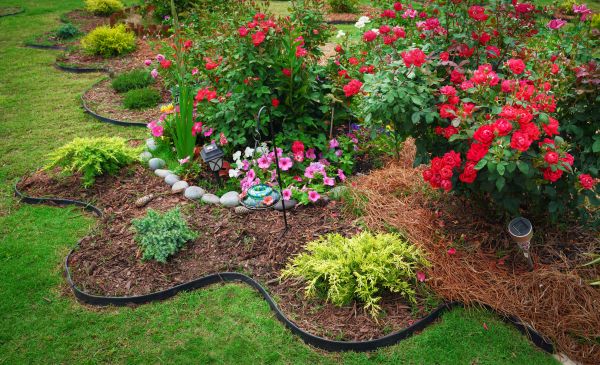 Floral Landscaping in Saint George