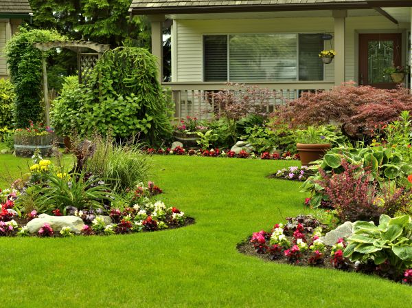 Flower Garden Planting in Saint George