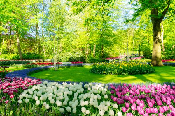 Flower Landscaping in Saint George