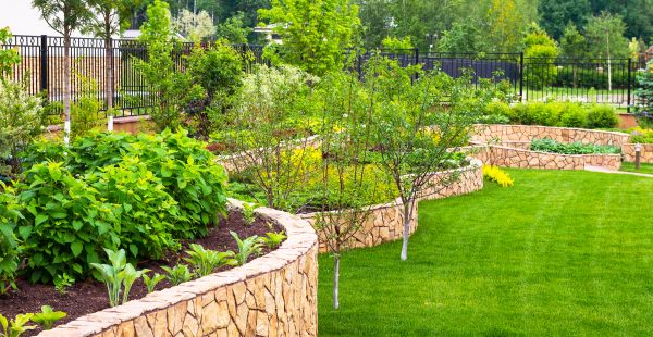 Yard Makeover Service in Saint George