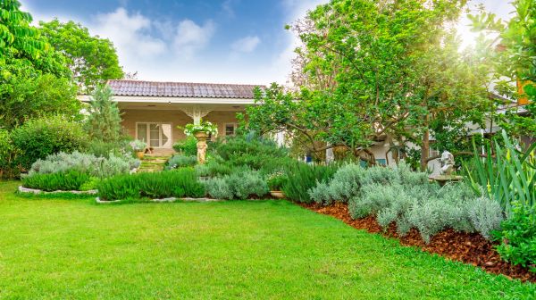 Greenery Planting in Saint George