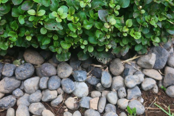 River Stone Installation in Saint George