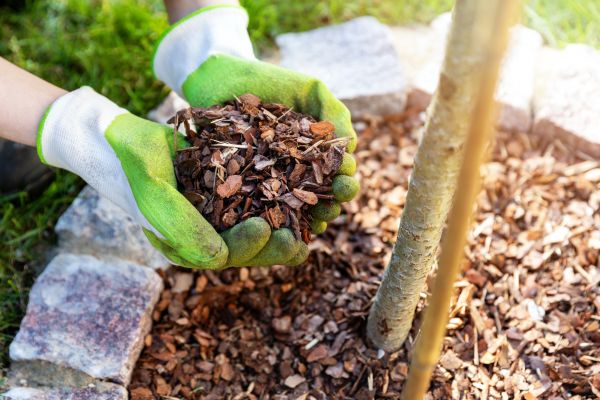 Tree Bark Delivery in Saint George