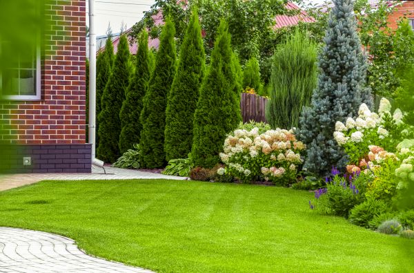 Spring Landscaping in Saint George