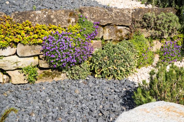 Landscaping Rocks Installation in Saint George