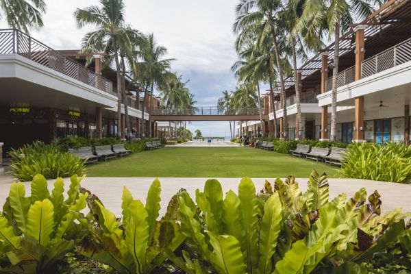 Commercial Lawn Renovation in Saint George