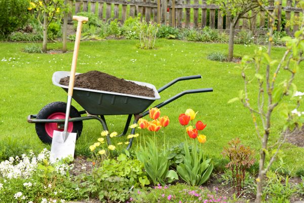 Spring Yard Renovation in Saint George