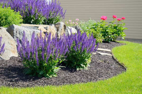 Landscape Planting Service in Saint George