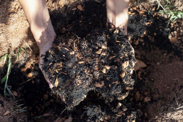 Organic Mulch Installation in Saint George