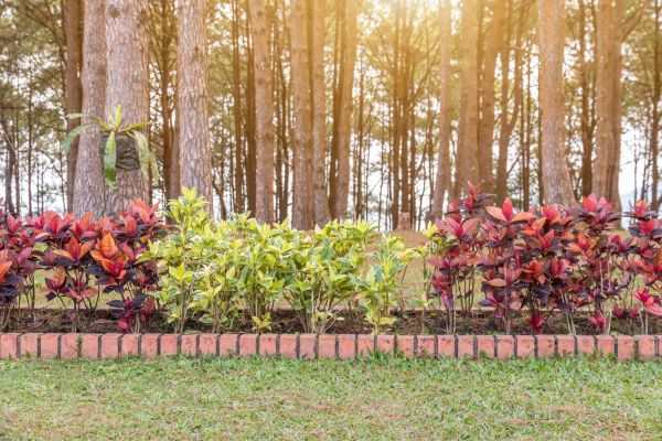 Small Garden Landscaping in Saint George