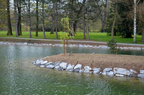 Pond Landscaping Service in Saint George