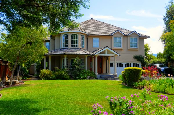 Large Yard Landscaping in Saint George
