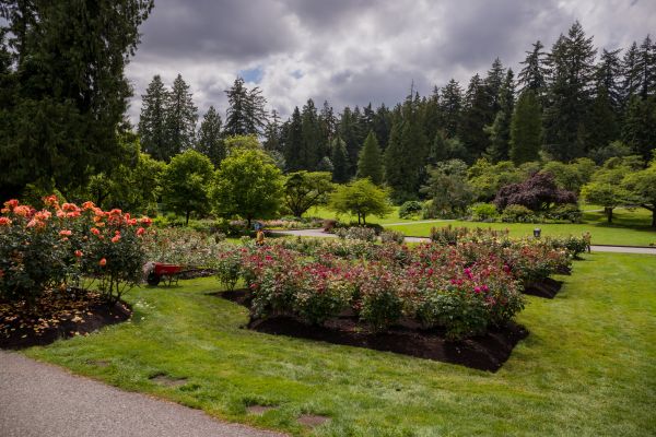 Flower Garden Landscaping in Saint George