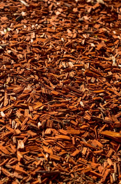 Cedar Mulch Spreading in Saint George