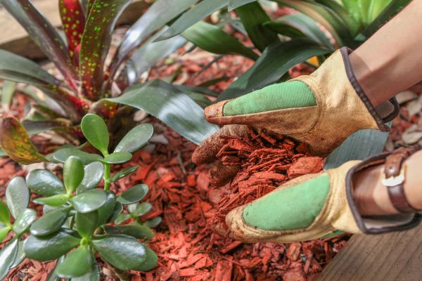 Residential Mulching in Saint George