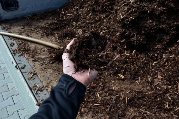 Condo Mulching in Saint George