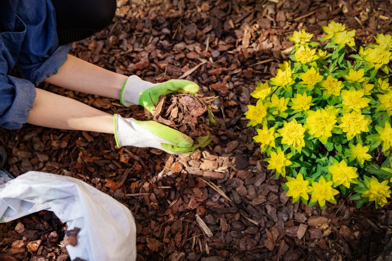 Yard with Mulched Leaves